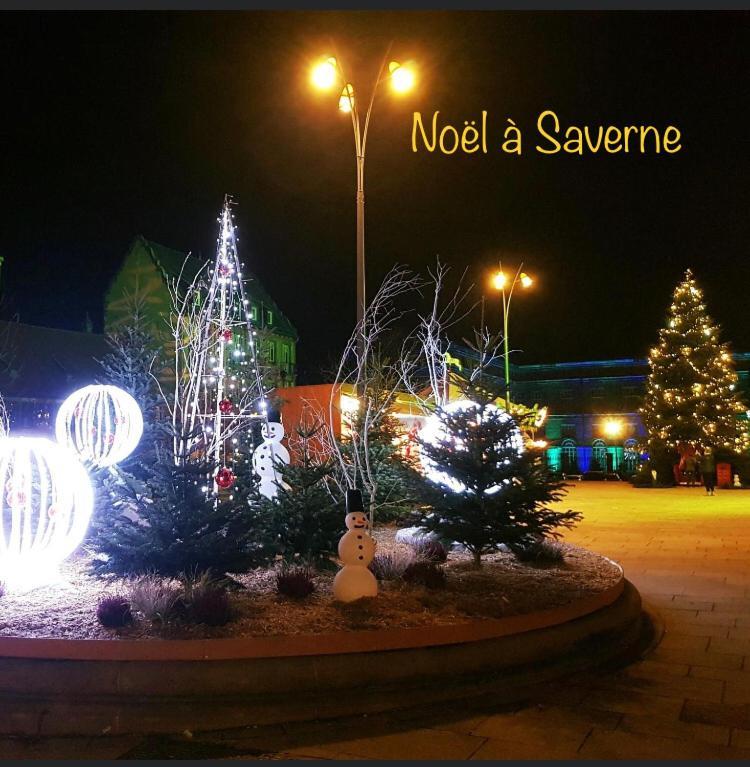 Casasavernoise O Sonho Appart2 Saverne Exterior photo